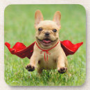 Search for french bulldog coasters Playful