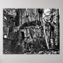 Search for canada history posters Canadian