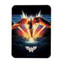 Search for s shape magnets Dc comics