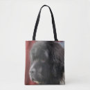 Search for dog face bags Pet