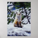 Search for banks posters Wildlife