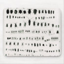 Search for specimen Insects