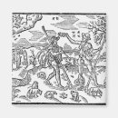 Search for flocking square magnets Sheep