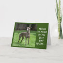 Search for you are special birthday cards Funny