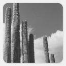 Search for saguaro cactus stickers Cacti