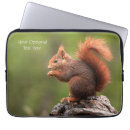 Search for squirrel laptop cases Nature