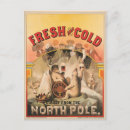 Search for polar bear postcards Vintage