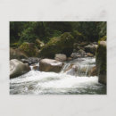 Search for amazon postcards Nature