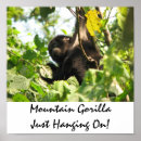 Search for mountain gorilla posters Endangered