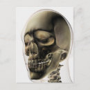 Search for frontal view Headshot