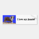 Search for i love my puppy bumper stickers Breed