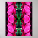 Search for rose pattern photography Abstract