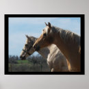 Search for spirit horse posters Free