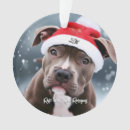 Search for bull terrier christmas tree decorations Blue