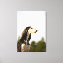 Search for saluki art Cute