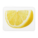Search for wedge magnets Citrus