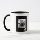 Search for pillaged mugs I can has cheezburger