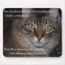 Search for chase electronics Cat