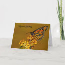 Search for monarchs Orange