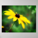 Search for single yellow posters Photography