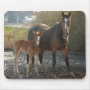 Search for digital horse mouse mats Nature