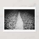 Search for two sided horizontal postcards Black and white