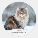 Search for i love cats stickers Cat lover
