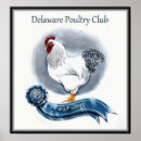 Search for poultry posters Chicken