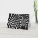 Search for funny zebra cards Cute