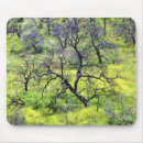 Search for renewable mouse mats Green