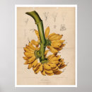 Search for linen paper posters Yellow