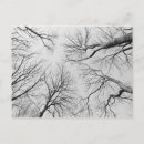 Search for study postcards France