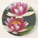 Search for hybrid coasters Flower