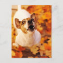 Search for selective focus vertical postcards High angle view