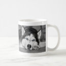 Search for white siberian husky mugs Animal