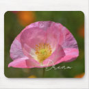 Search for flash me photography Flowers