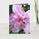 Search for saying hi cards Just saying hello