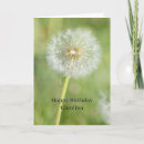 Search for dandelion birthday cards Flowers