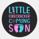 Search for vintage 4th of july stickers Funny
