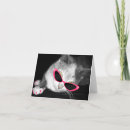 Search for kittens photography Pets