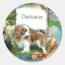 Search for cavalier king charles stickers Pet