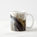 Search for common loon mugs Audubon