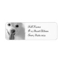Search for pomeranian dog return address labels Puppy