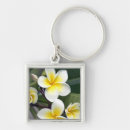 Search for cook islands key rings South
