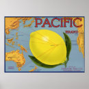 Search for citrus art Food