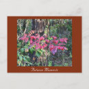 Search for seasons greetings postcards Photography