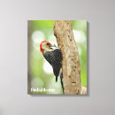 Search for belly canvas prints Bird