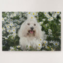 Search for spring puzzles Garden