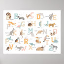 Search for zoo animal drawing posters For kids