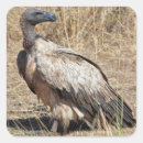 Search for watcher stickers Ornithologist